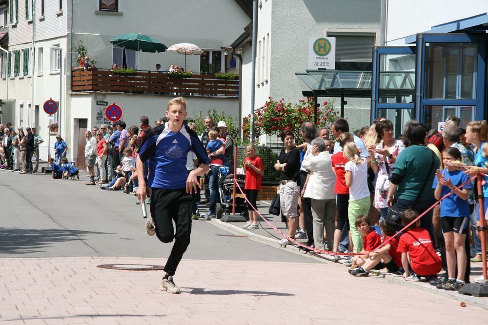 Lichtensteinlauf 2013