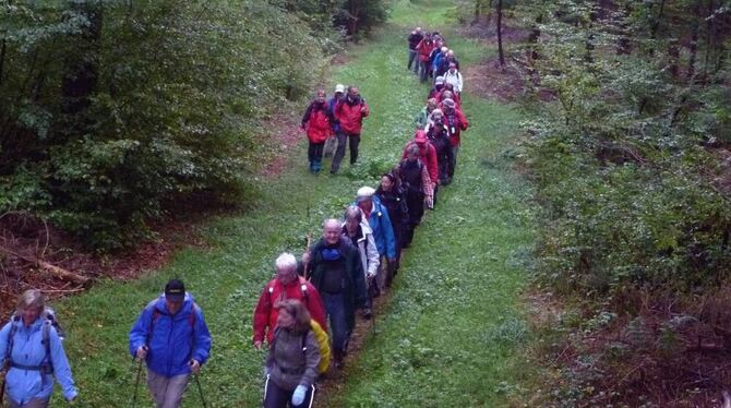 Die Wannweiler Albvereins-Wanderer in Formation bei einem der doch recht zahlreichen Aufstiege. FOTO: PR