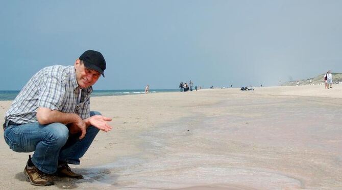 Der Sylter Umweltbeauftragte und Planktologe Norbert Grimm kniet am Sylter Weststrand vor dem rosa Teppich aus Meeresleuchtti