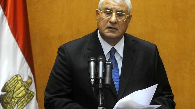 Der ägyptische Übergangspräsident Adli Mansur hat einen Zeitplan für eine Änderung der Verfassung und Parlamentswahlen vorgelegt
