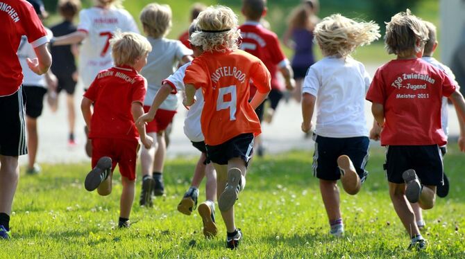 Zwiefalten Berglauf 2013