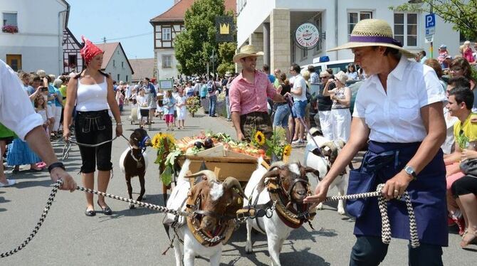 Großer Festumzug zum 650-Jahr-Jubiläum. Ganz Rübgarten bevölkerte die Dorfmitte und bestaunte das Defilee von mehr als 40 Gruppe Großer Festumzug zum 650-Jahr-Jubiläum. Ganz Rübgarten bevölkerte die Dorfmitte und bestaunte das Defilee von mehr als 40 Gruppe