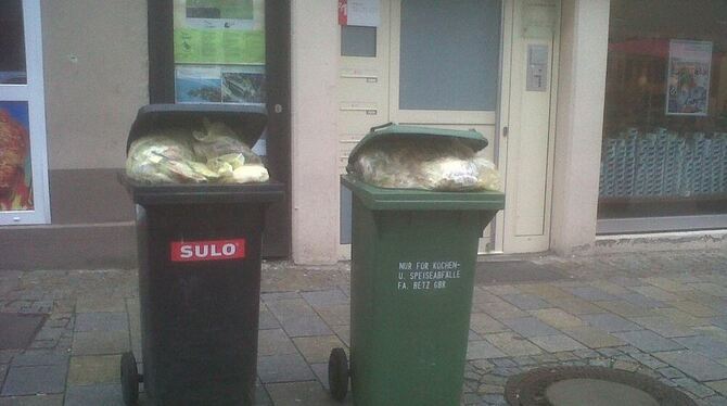 Dreist und ziemlich dumm: Gelbe Säcke als Müllbeutel zu verwenden und obendrein auch noch – von Weitem sichtbar – in die Biotonn