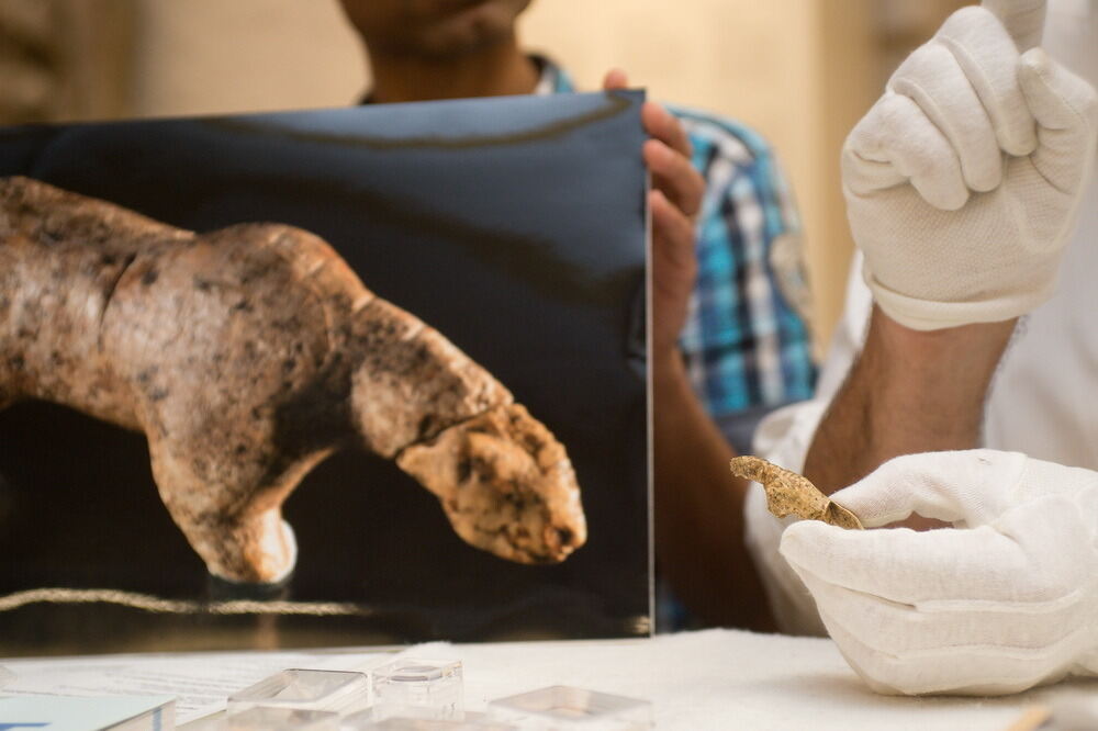 Tübinger Archäologen komplettieren 40000 Jahre alte Figur