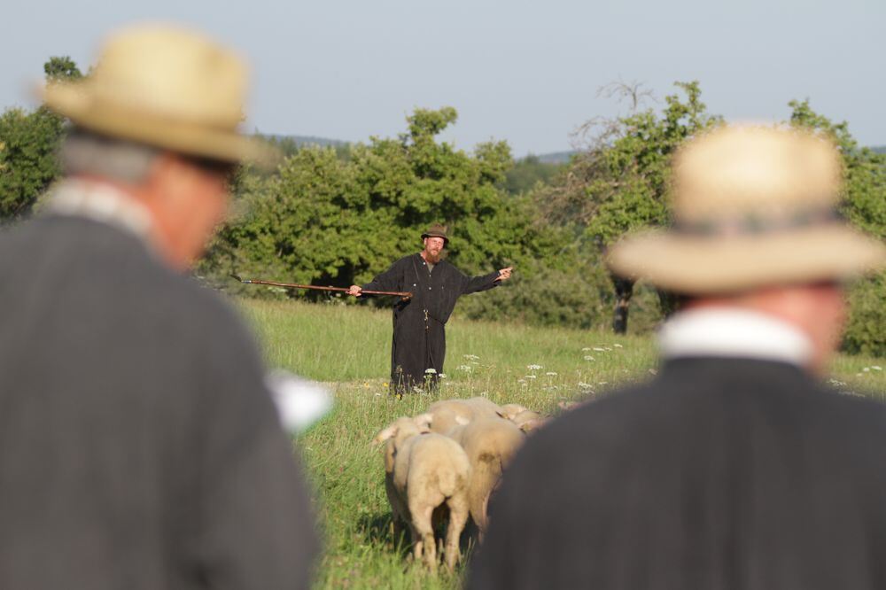 Schäferlauf Bad Urach 2013