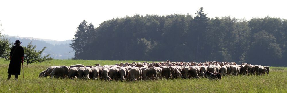 Schäferlauf Bad Urach 2013