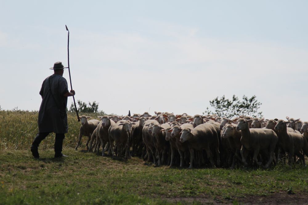 Schäferlauf Bad Urach 2013