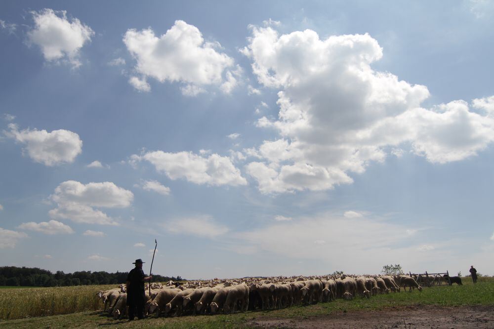 Schäferlauf Bad Urach 2013