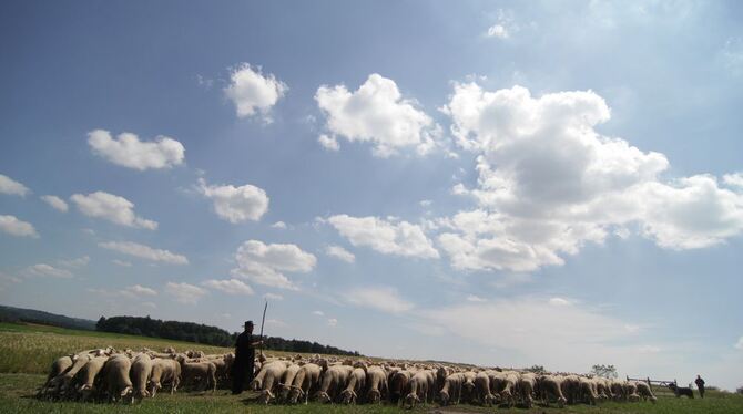 Schäferlauf Bad Urach 2013 Schäferlauf Bad Urach 2013
