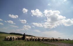 Schäferlauf Bad Urach 2013