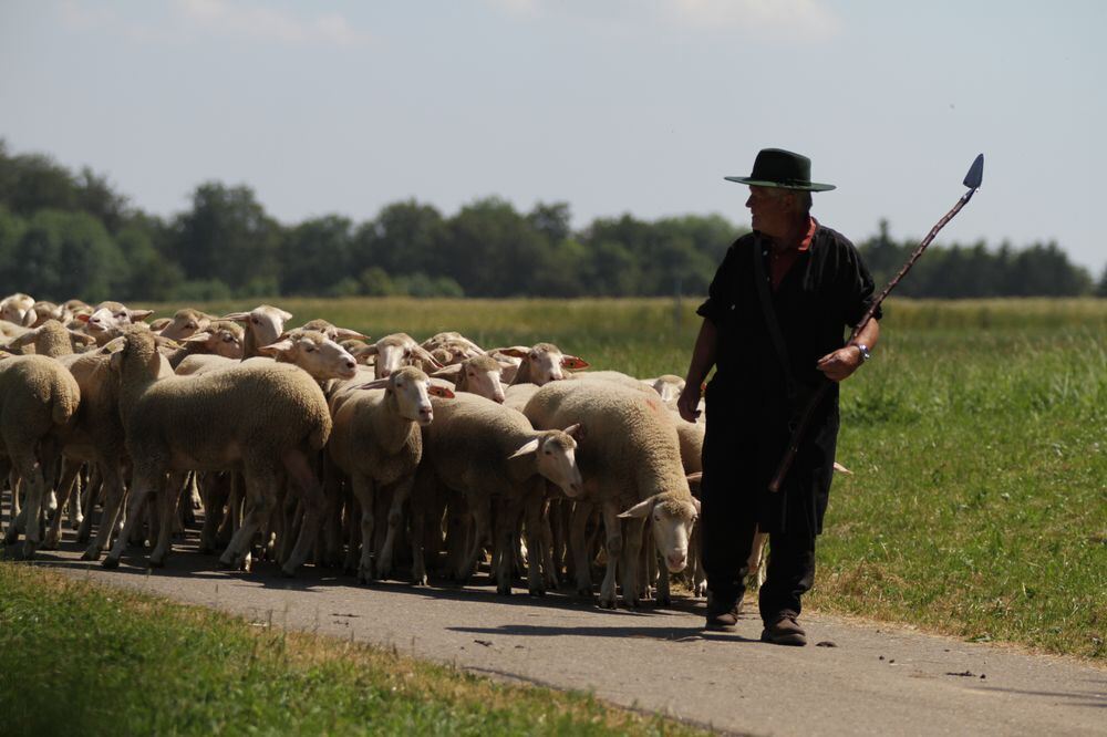 Schäferlauf Bad Urach 2013
