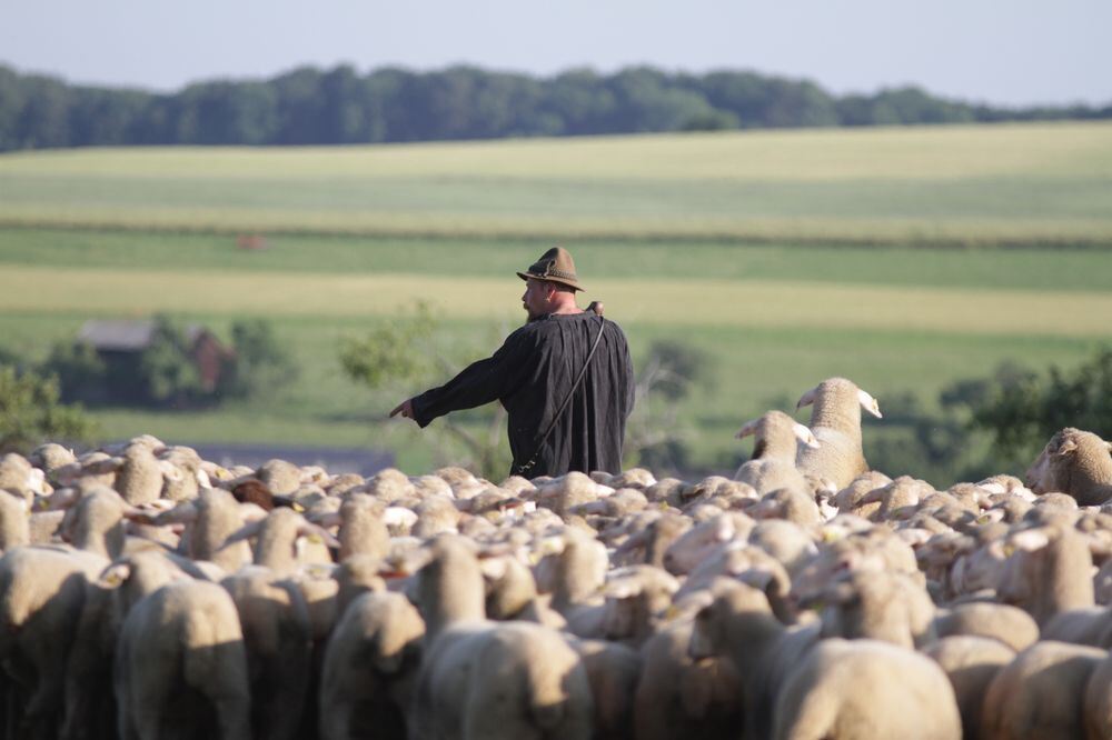 Schäferlauf Bad Urach 2013