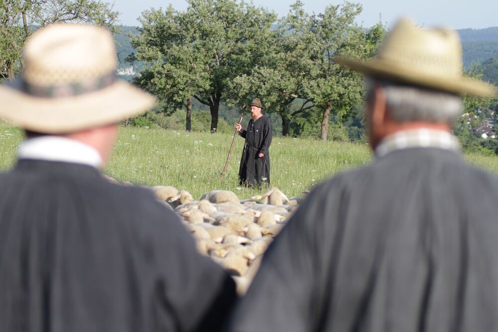 Schäferlauf Bad Urach 2013