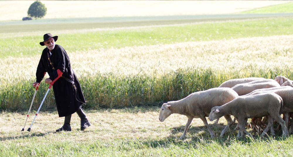 Schäferlauf Bad Urach 2013