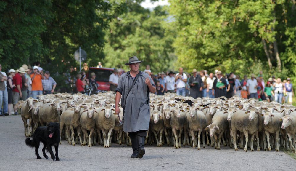 Schäferlauf Bad Urach 2013
