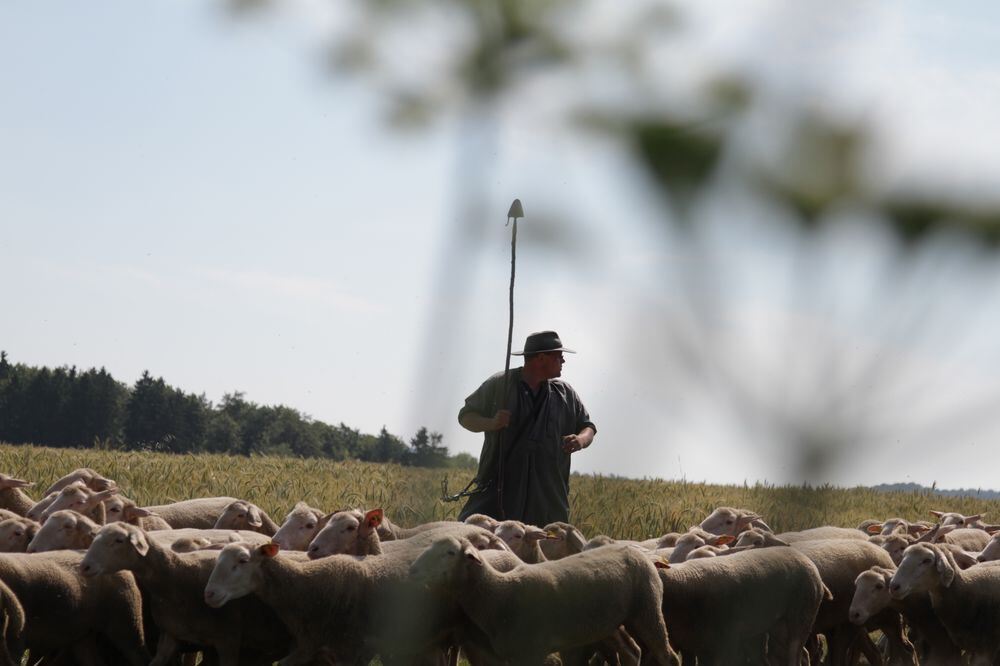 Schäferlauf Bad Urach 2013