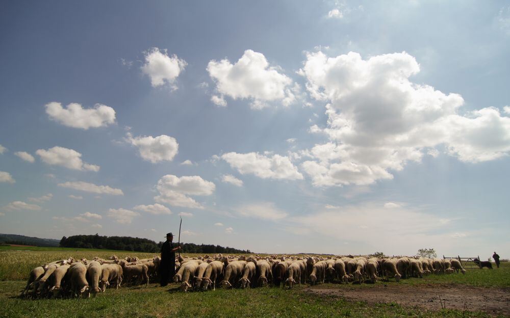 Schäferlauf Bad Urach 2013