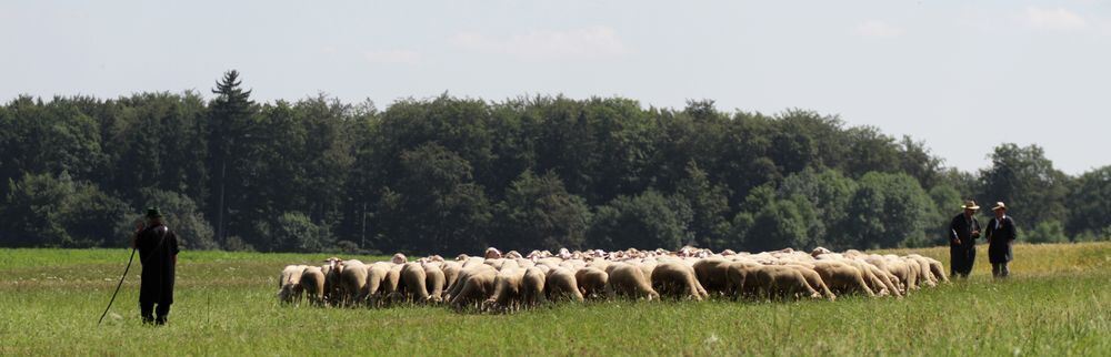 Schäferlauf Bad Urach 2013