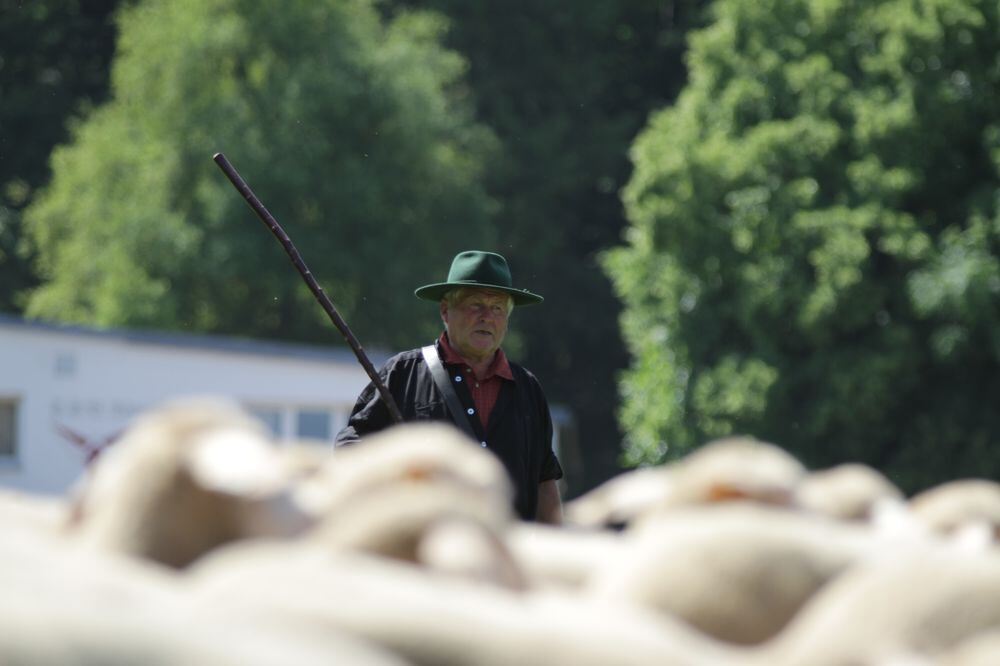 Schäferlauf Bad Urach 2013