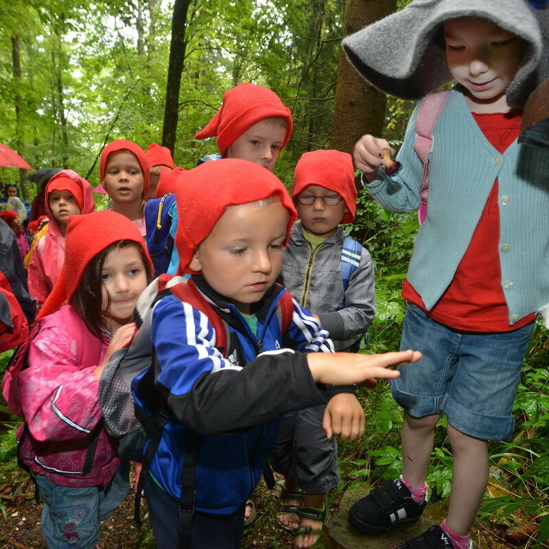 Zwergenzügle nach Wichtelhausen 2013