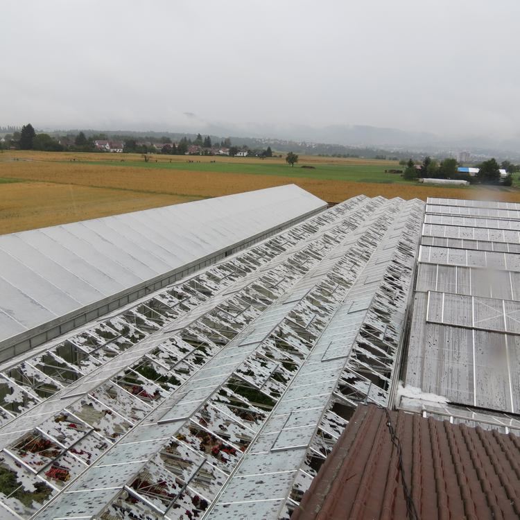 Hagelsturm verwüstet Reutlingen und die Region