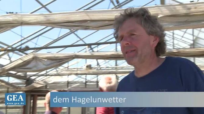 »So groß waren die Hagelkörner«: Oberbürgermeisterin Barbara Bosch im durchlöcherten Bullenstall der Müllerschöns.