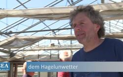 »So groß waren die Hagelkörner«: Oberbürgermeisterin Barbara Bosch im durchlöcherten Bullenstall der Müllerschöns.