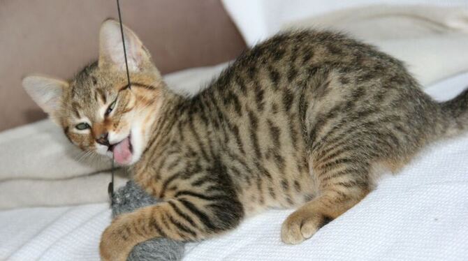 Symbolbild.  GEA-FOTO: HAILFINGER