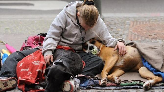 Symbolbild. Foto: Britta Pedersen