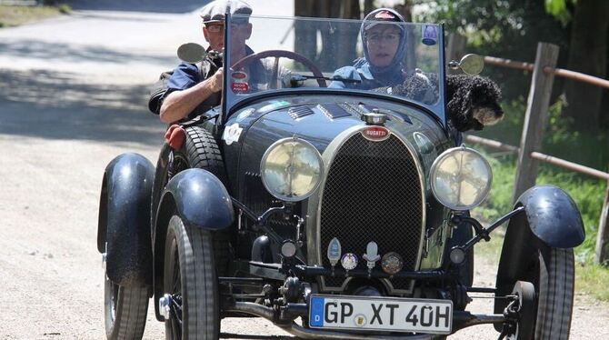 Eine Sonderschau wert: Lanz-Traktoren sind Kult.Mit solch einem prächtigen Bugatti kann man sich beim Oldtimer-Treffen allemal s