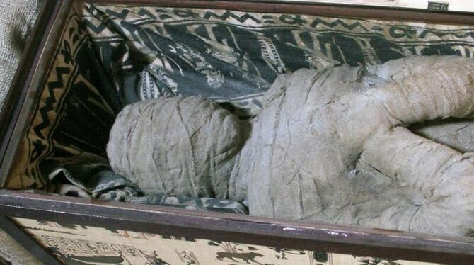 In diesem Sarkophag wurde die Mumie auf dem Dachboden eines Hauses in Diepholz gefunden. Foto: Lutz Wolfgang Kettler