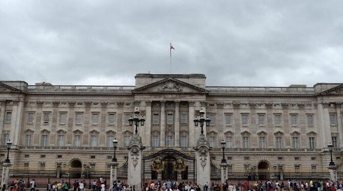 Ungebetener Besuch im Buckingham Palast. Foto: Andy Rain