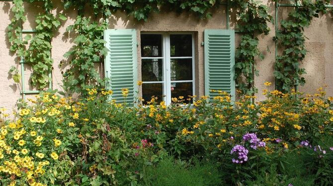 Viel Grün zwischen Gelb und Blau - im Garten der Liebermann-Villa blüht es so bunt wie in den Zeiten, als der Maler hier in die Farben griff. FOTO: ANDREAS HEIMANN