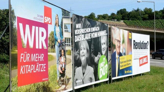 Insgesamt gehen für den 18. Deutschen Bundestag 34 Parteien mit annähernd 4500 Kandidaten ins Rennen. Bis zur letzten Minute