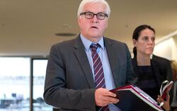 SPD-Fraktionschef Frank-Walter Steinmeier sieht sich Plagiatsvorwürfen ausgesetzt. Foto: Maurizio Gambarini