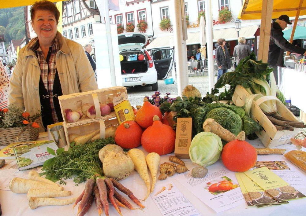 Energietag Bad Urach 2013