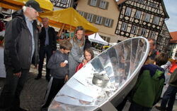 Energietag Bad Urach 2013