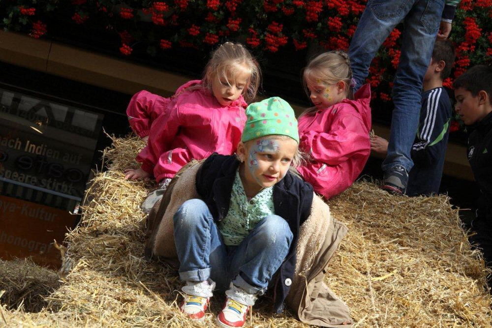 Energietag Bad Urach 2013