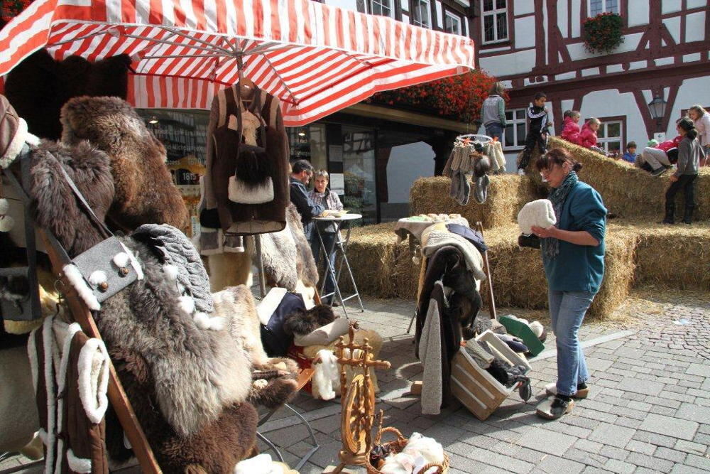 Energietag Bad Urach 2013
