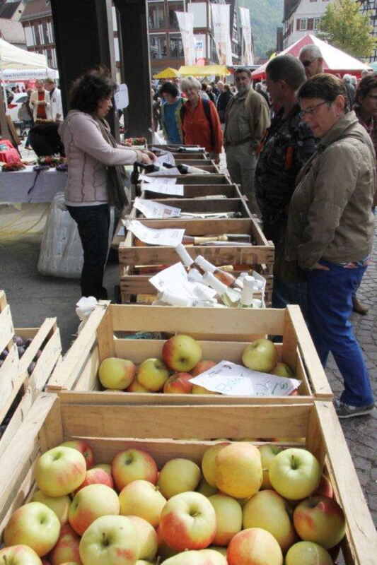 Energietag Bad Urach 2013