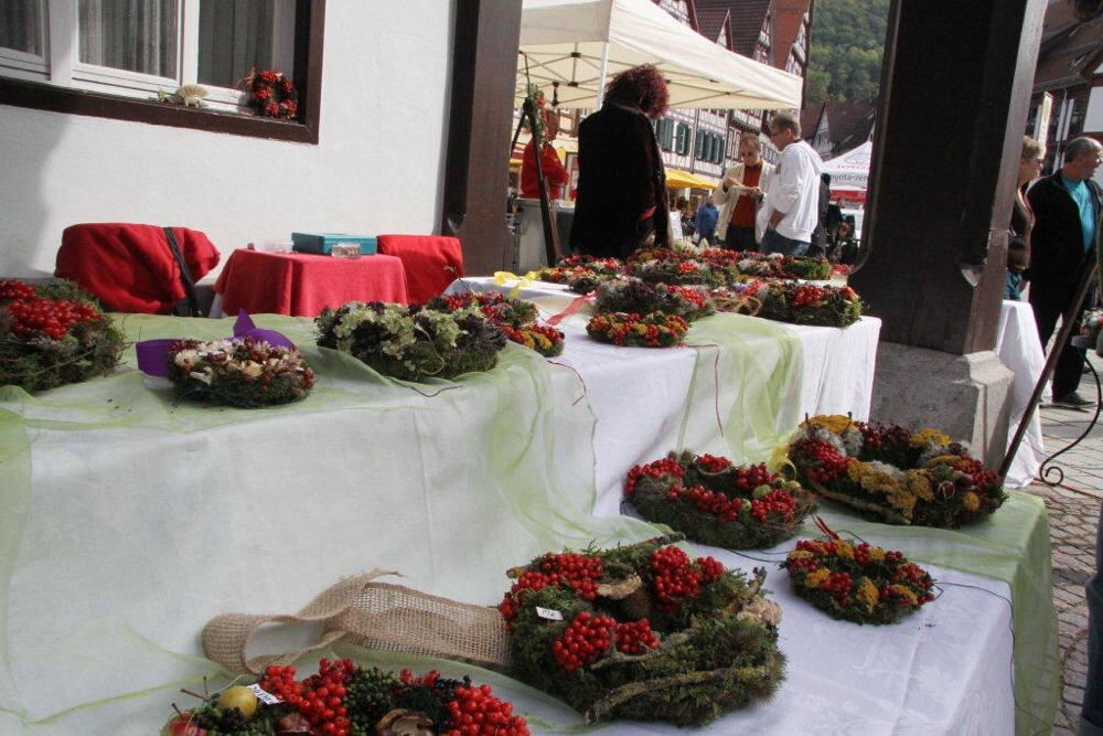 Energietag Bad Urach 2013