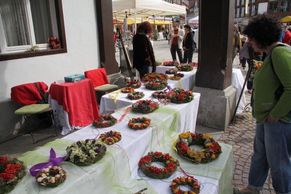 Energietag Bad Urach 2013