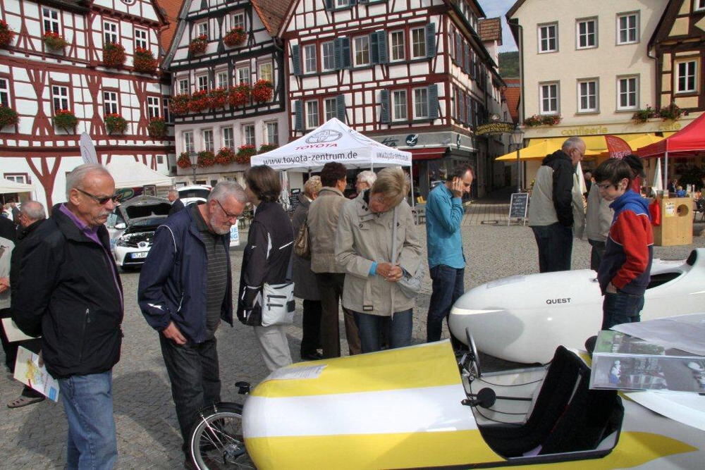 Energietag Bad Urach 2013