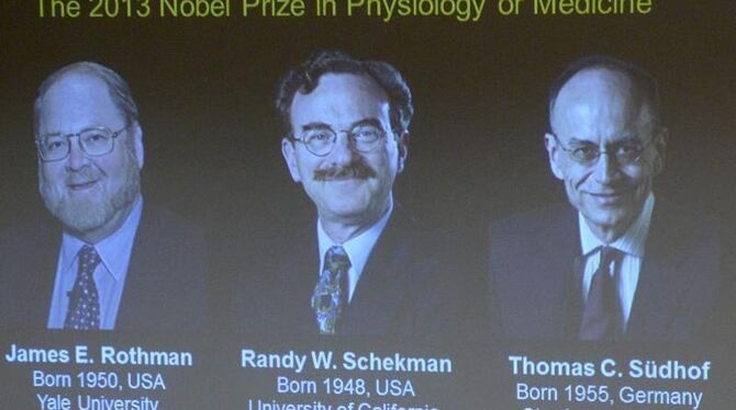 James Rothman, Randy Schekman und Thomas Südhof (v.l.) sind die Gewinner des Medizin-Nobelpreises 2013. Foto: Janerik Henriks