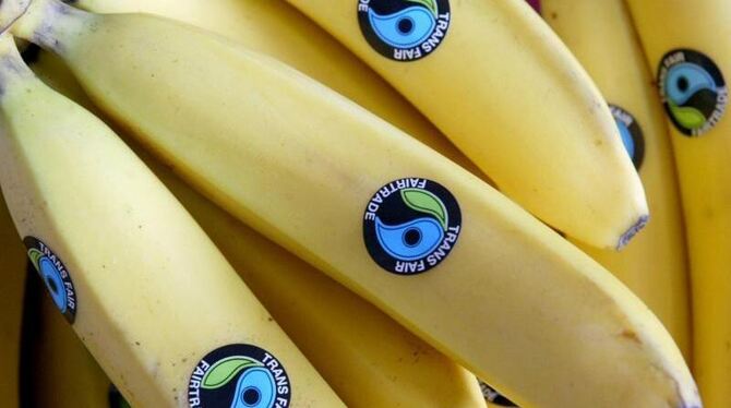 Besonders Bananen legten mit einem mengenmäßigen Plus von 103 Prozent auf 16 934 Tonnen zu. Foto: Jörg Carstensen