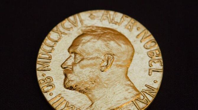 Der Nobelpreis ist mit rund 920 000 Euro dotiert. Foto: Berit Roald