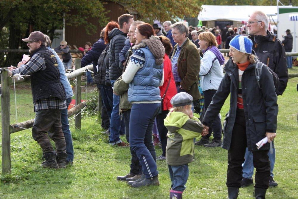 Fuhrmannstag Pliezhausen 2013
