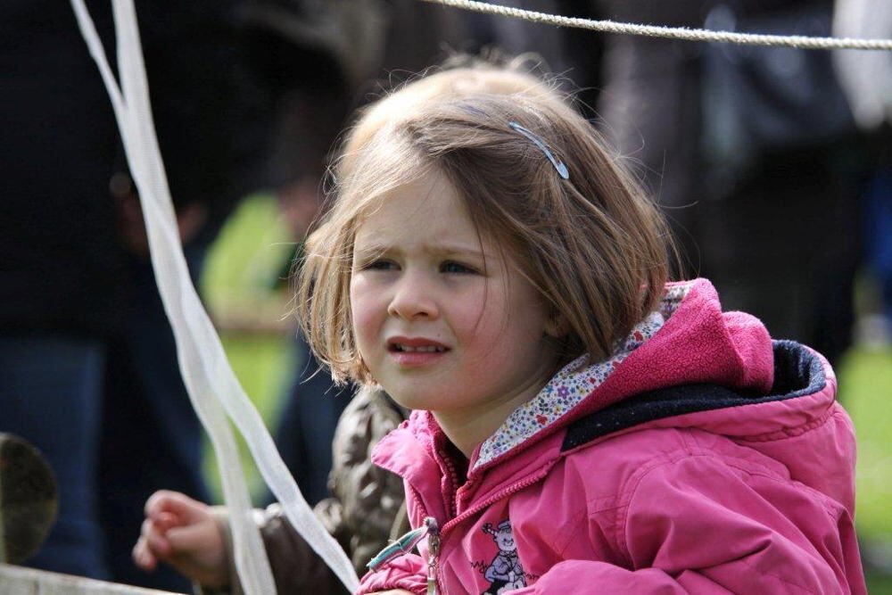 Fuhrmannstag Pliezhausen 2013