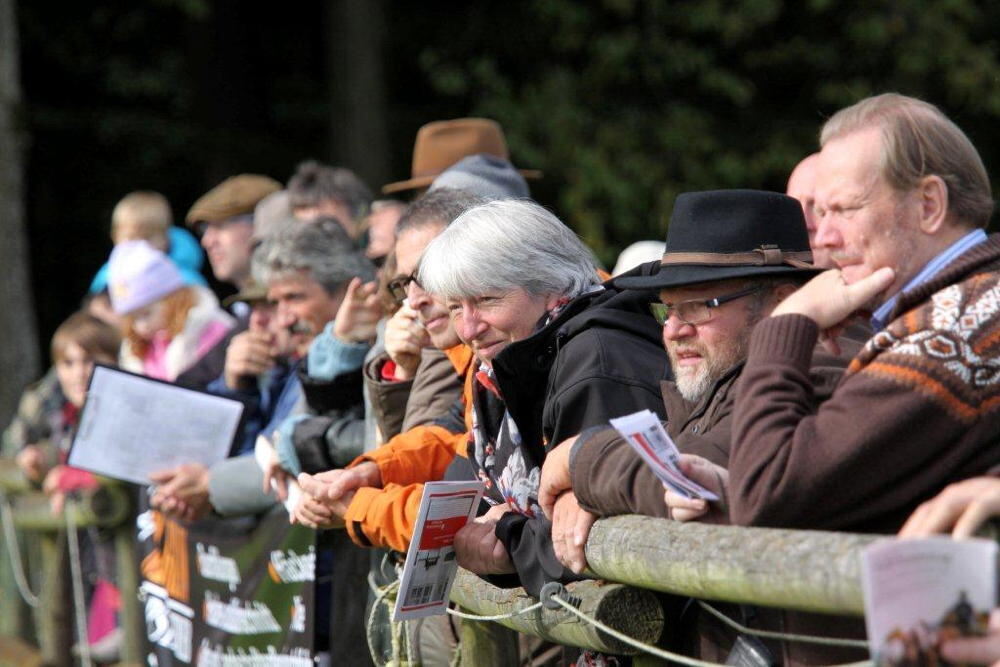 Fuhrmannstag Pliezhausen 2013 Fuhrmannstag Pliezhausen 2013
