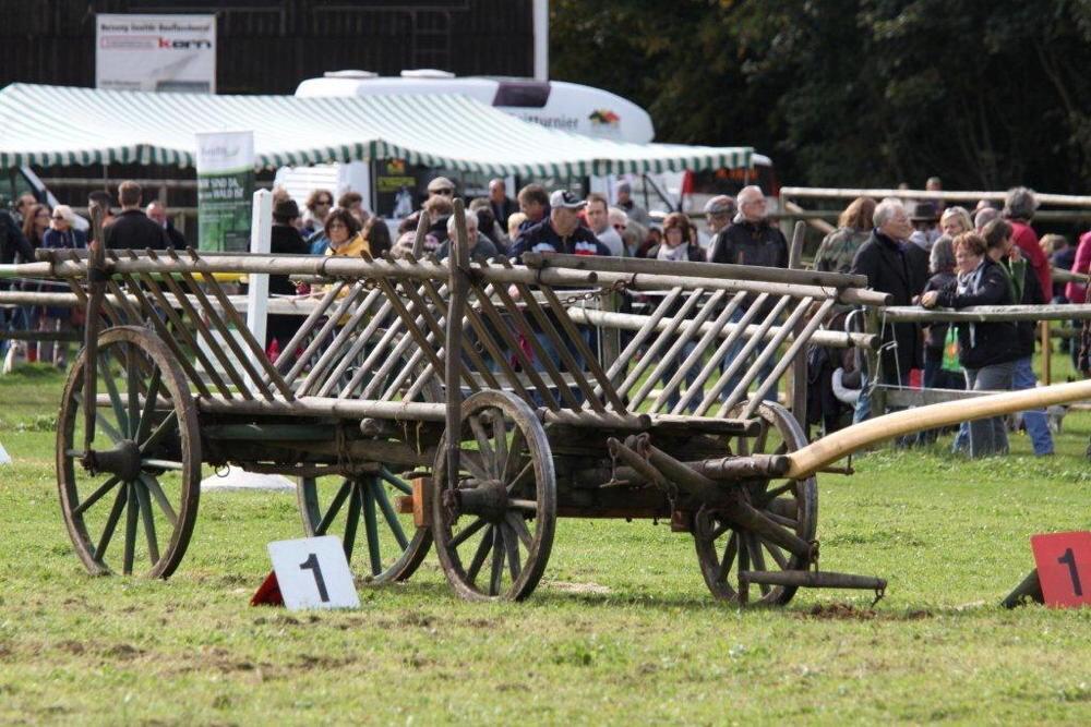 Fuhrmannstag Pliezhausen 2013